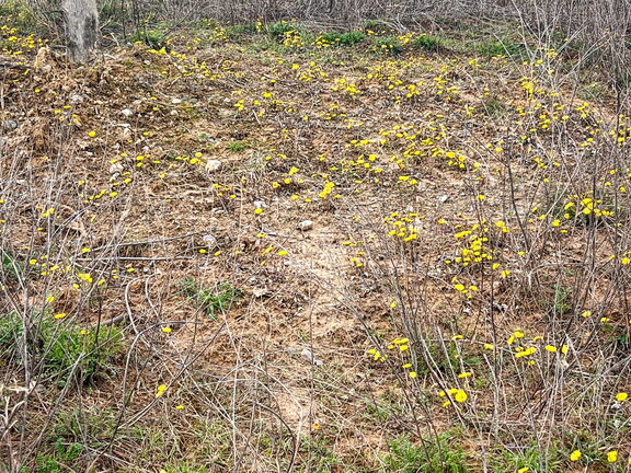 23-03-17 13-40-17 4909